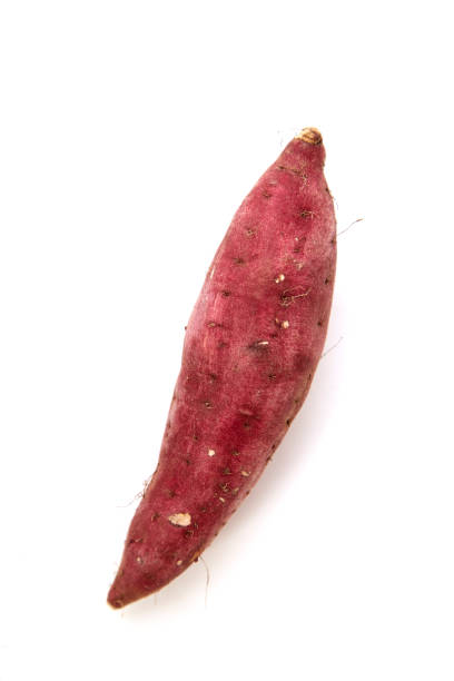 istock sweet potato on the white background 983235650