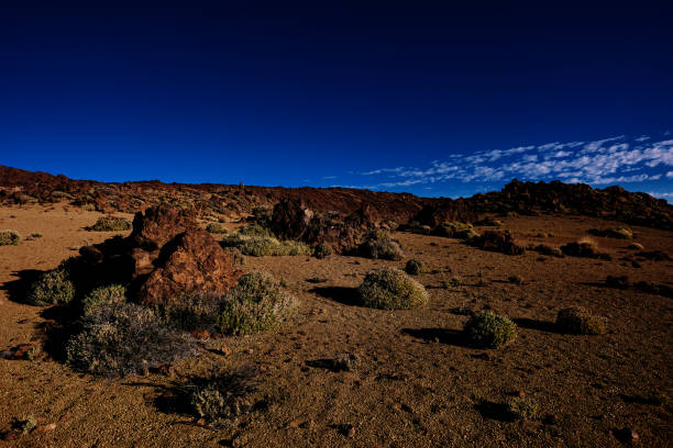 istock volcanic soil in Tenerife mountains 983239838