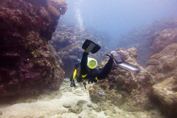 istock Underwater world of Green Island 983240564