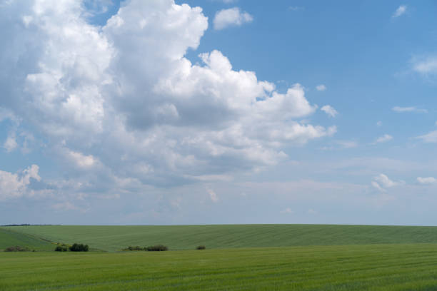 istock Podolia region, Ukraine. Landscape with dramatic clouds over agricultural field 983243912