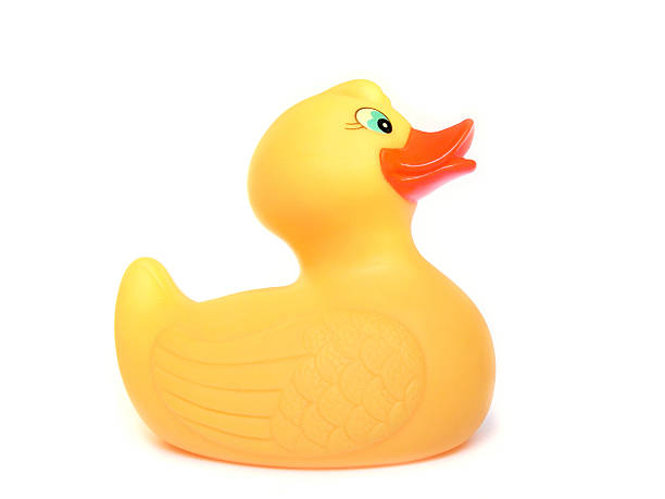 Rubber duck stock photo