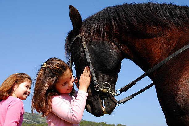 istock twins and their friend horse 98325972