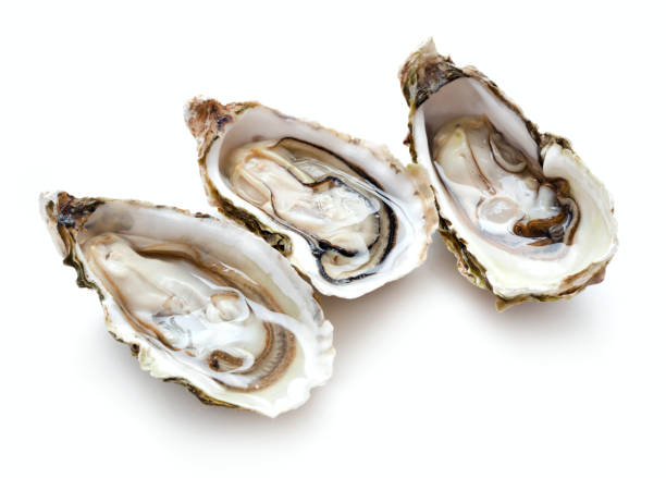 three opened oysters set of three fresh opened oysters isolated on white background oyster photos stock pictures, royalty-free photos & images