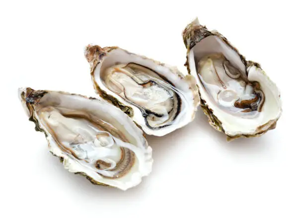 Photo of three opened oysters