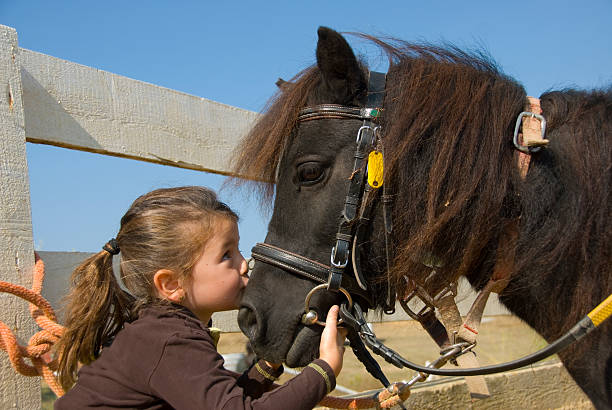 Portrait of a little girl kissing a black horse little girl kissing her pony purebred shetland on the nose pony photos stock pictures, royalty-free photos & images