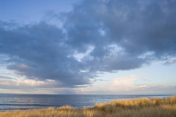 istock Dark clouds at twilight over sea 98327052