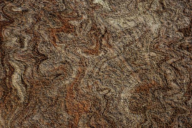istock Natural fibre sand texture 983276024