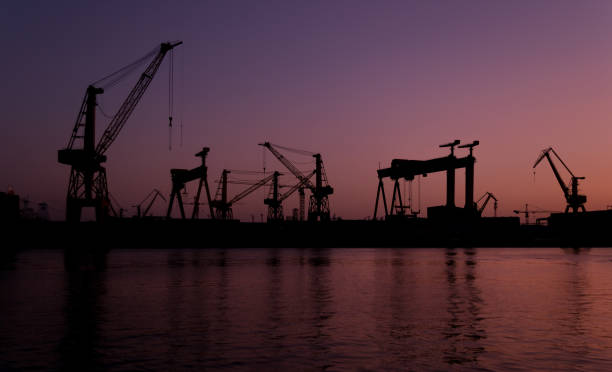 istock Crane silhouettes at sunset 983276446
