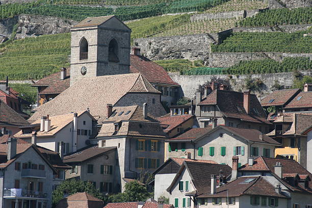 istock Swiss village and vineyards 98328121