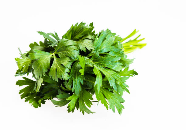 istock A bunch of fresh parsley 983284680