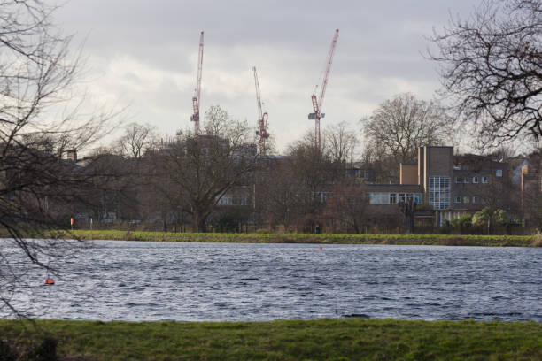 istock Three cranes stand across a lake with trees on either side 983298310