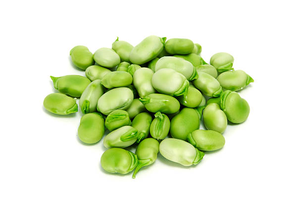 broad bean - fava bean stock-fotos und bilder