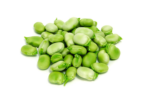 A pile of fresh green shelled broad beans isolated on white a pile of broad beans isolated on a white backgrouind broad bean plant stock pictures, royalty-free photos & images