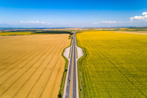 istock Highway between agriculture fields aerial view during summer 983306046