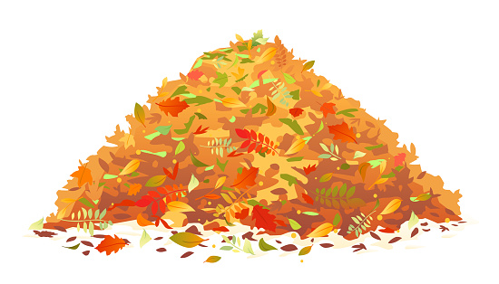 Pile of various autumn fallen leaves in red and orange colors, one big dump of leaves, autumn concept illustration, isolated