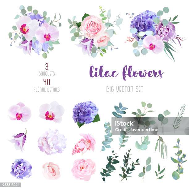 Flowers And Mix Of Greenery Big Vector Collection Stock Illustration - Download Image Now - Flower, Purple, Hydrangea