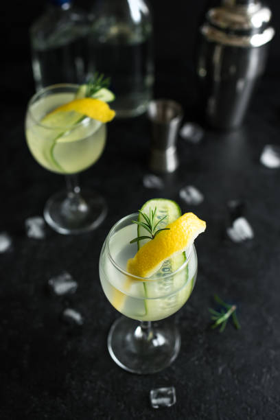 istock Gin fizz cocktail with lemon, cucumber, rosemary 983331696