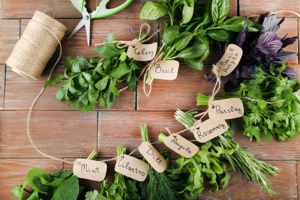 istock Different fresh herbs on brown wooden table 983347660