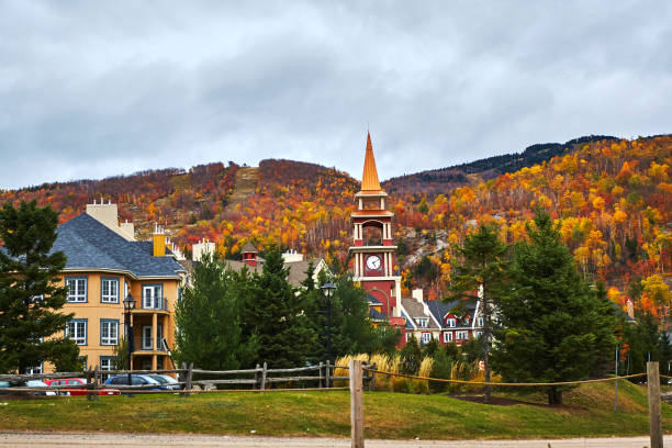 istock Four seasons views of Canada 983350226