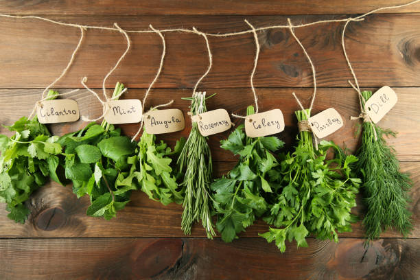 istock Different fresh herbs on brown wooden background 983350482