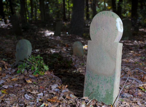 istock Old Scottish Cemetery grave marker in North Carolina 983354654