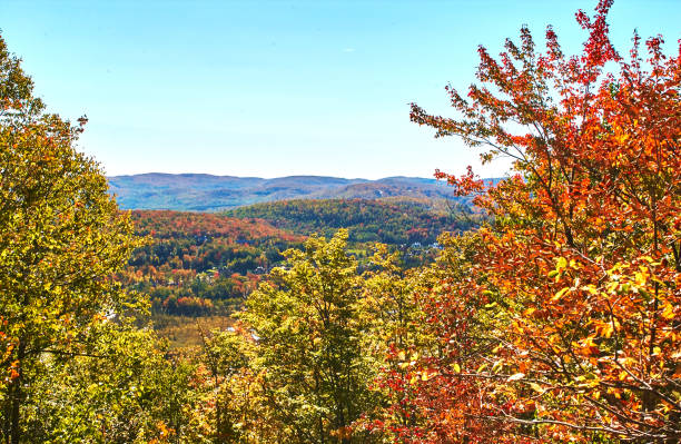 istock Four seasons views of Canada 983355526