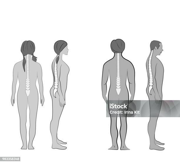 Correct Alignment Of Human Body In Standing Posture For Good Personality  And Healthy Of Spine And