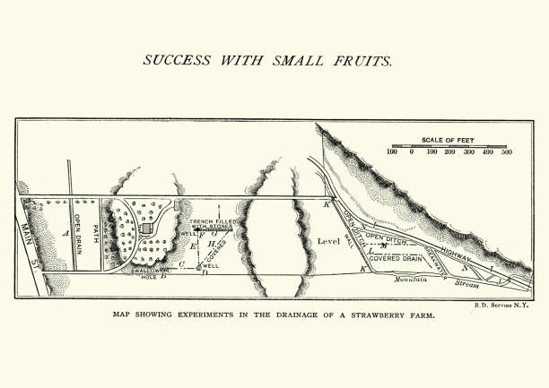 Vintage engraving of a Map of a strawberry farm, Drainage, 19th Century