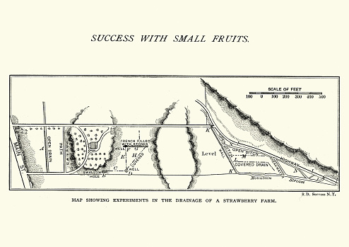 Vintage engraving of a Map of a strawberry farm, Drainage, 19th Century