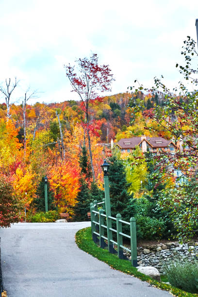 istock Four seasons views of Canada 983360338