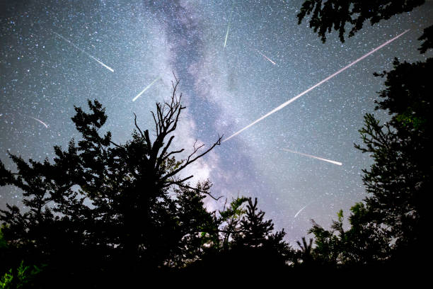 alberi silhouette via lattea stelle cadenti - sciame meteorico geminidi immagine foto e immagini stock