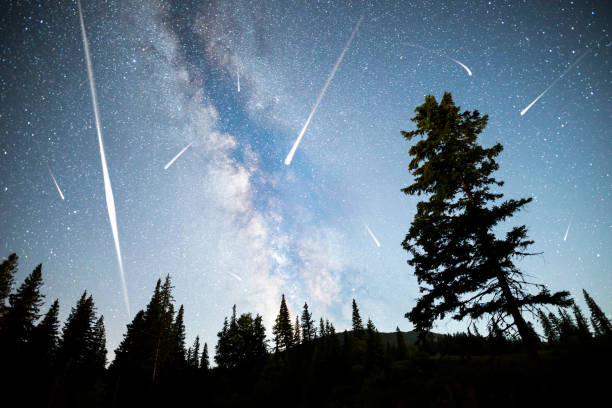 istock Pine trees silhouette Milky Way falling stars 983366918