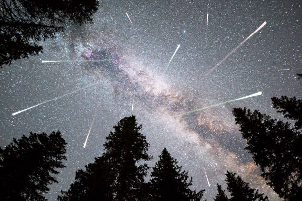 istock Pine trees silhouette Milky Way falling stars 983366978