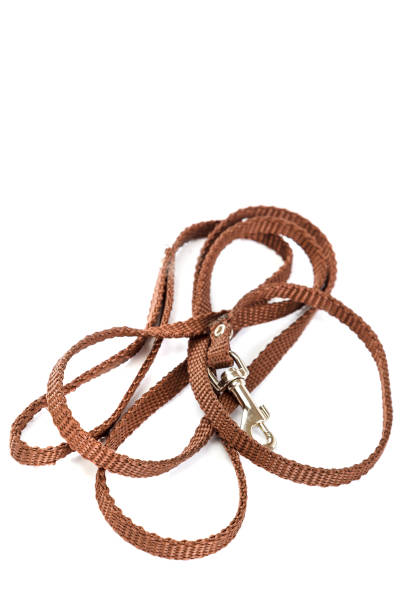 istock Doggy leather belt collar leash on white background. 983370874