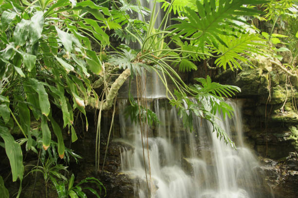 istock Tiers of Water 983371428