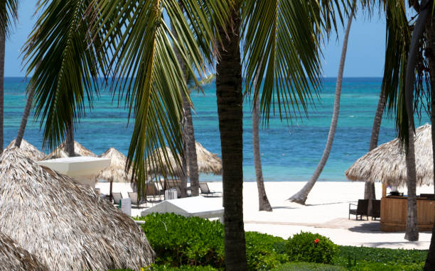 istock Balinese beds ina a caribbean beach 983376602