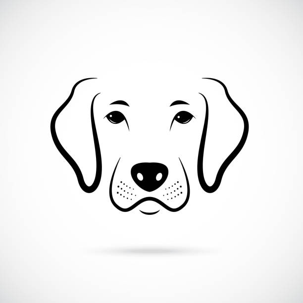 ilustraciones, imágenes clip art, dibujos animados e iconos de stock de retrato de perro. icono de perro de línea arte. ilustración de vector. - hound