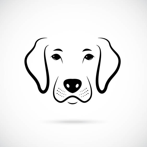 Portrait of Dog. Line art dog icon. Vector illustration. Portrait of Dog. Line art dog icon. Vector illustration. hound stock illustrations