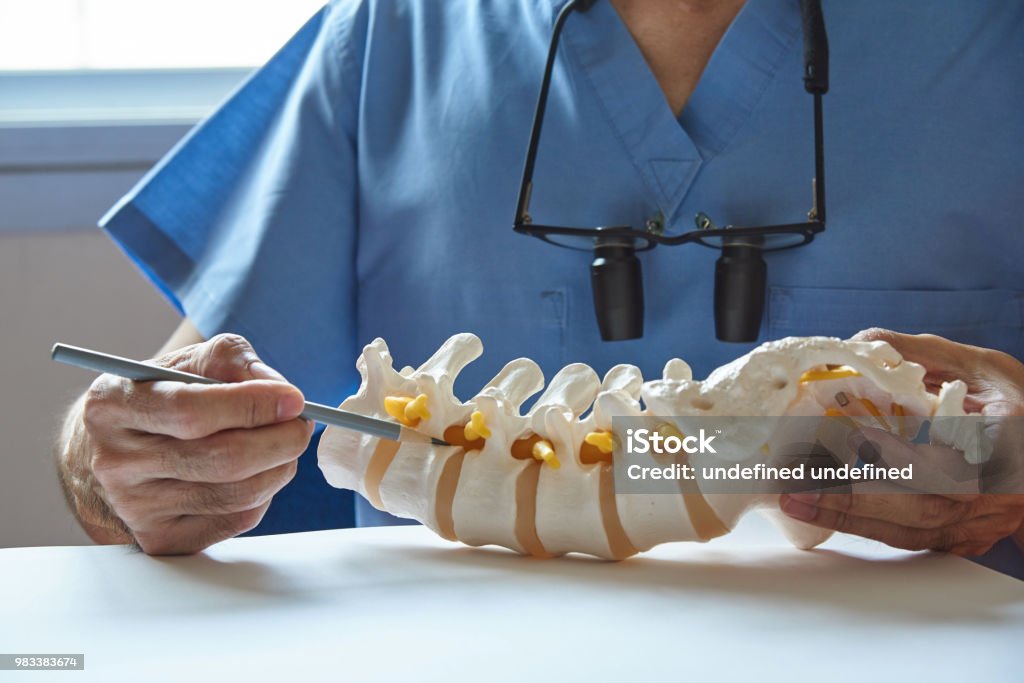 A neurosurgeon pointing at lumbar vertebra model A neurosurgeon using pencil pointing at lumbar vertebra model in medical office Spine - Body Part Stock Photo