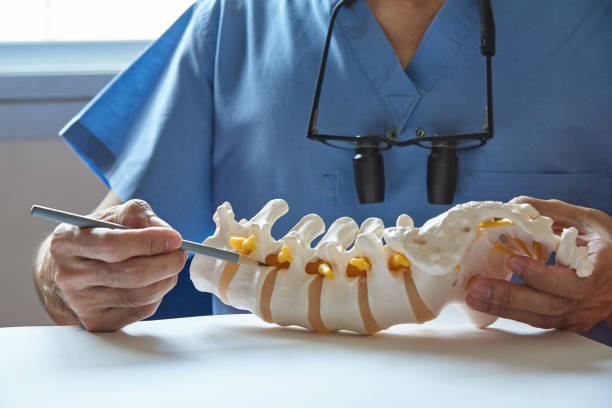 A neurosurgeon pointing at lumbar vertebra model A neurosurgeon using pencil pointing at lumbar vertebra model in medical office surgery stock pictures, royalty-free photos & images