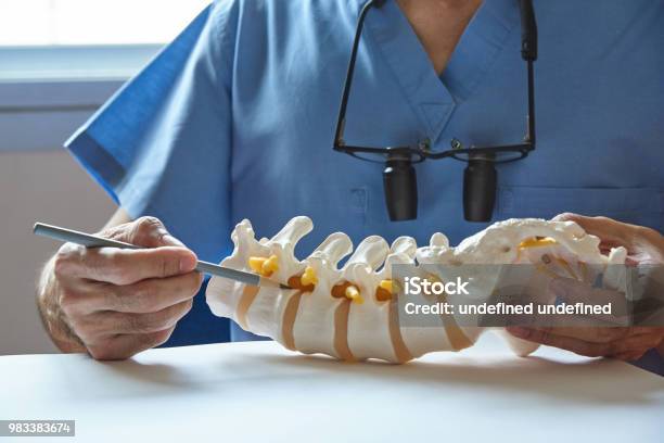 A Neurosurgeon Pointing At Lumbar Vertebra Model Stock Photo - Download Image Now - Spine - Body Part, Surgery, Back