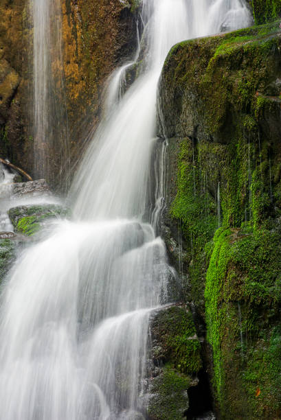 istock close up of waterfall cascade over the mossy rock 983388630