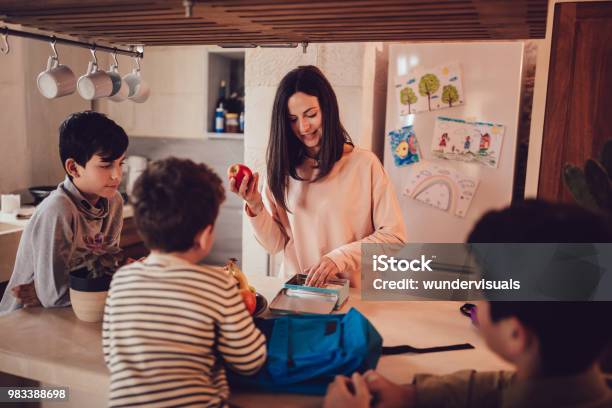 Matka Przygotowuje Zdrowe Pudełka Na Lunch Dla Dzieci W Kuchni - zdjęcia stockowe i więcej obrazów Dziecko
