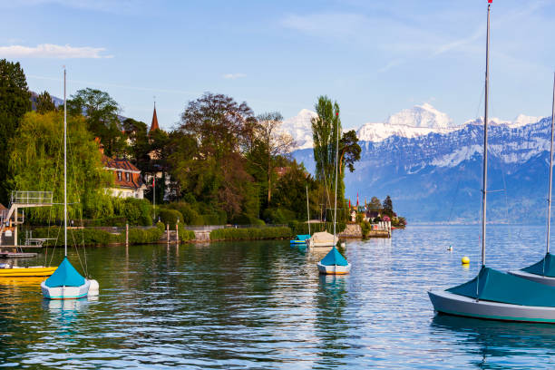 żaglówki nad jeziorem thun ( thunersee ) infornt alpy góry w godzinach wieczornych - switzerland nautical vessel interlaken swiss culture zdjęcia i obrazy z banku zdjęć