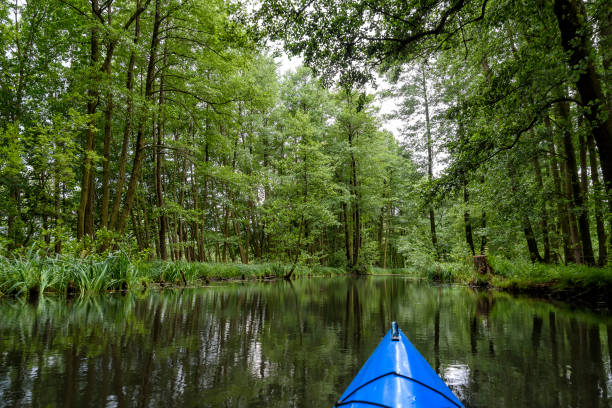 paseo en barco en una canoa en un río - reclusion fotografías e imágenes de stock
