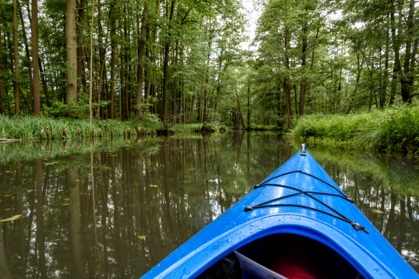 istock boat trip in a canoe on a river 983421650