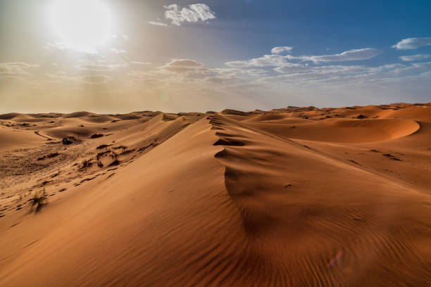 sand dunes in the sahara desert - morocco - extreme terrain desert africa landscape imagens e fotografias de stock