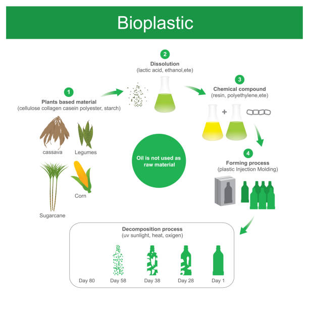 ilustraciones, imágenes clip art, dibujos animados e iconos de stock de bioplástico producido. - starch