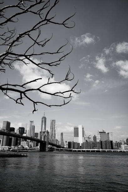 istock Brooklyn bridge in New York City 983422812