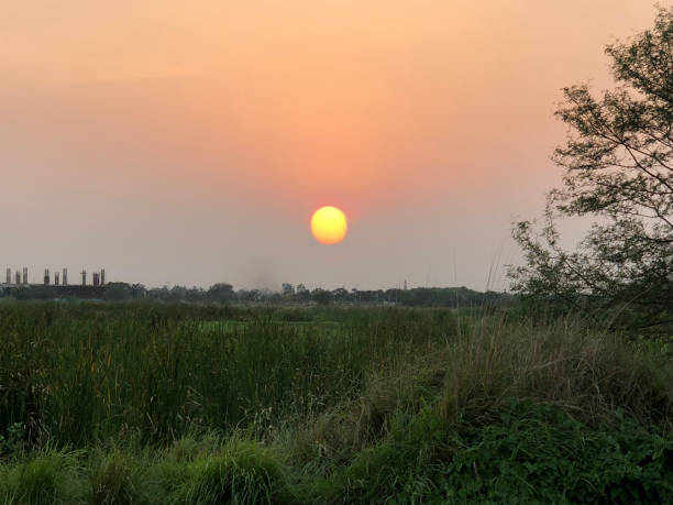 istock Rajarhat Wetland Sunset in Kolkata 983438568